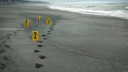 Murdered: The Baby on the Beach Bild 1