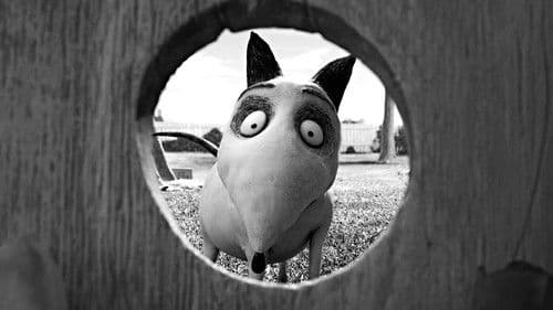 Frankenweenie Bild 4