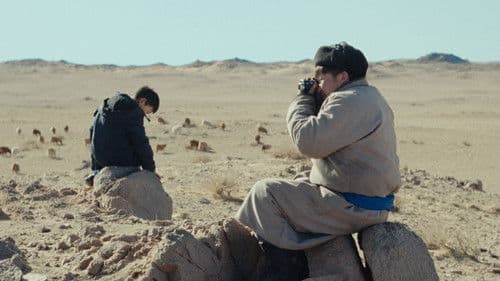 Die Wölfe kommen immer nachts Bild 1