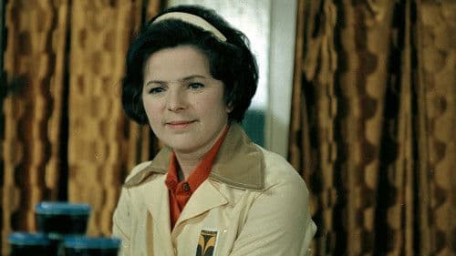 Die Frau hinter dem Ladentisch Bild 1