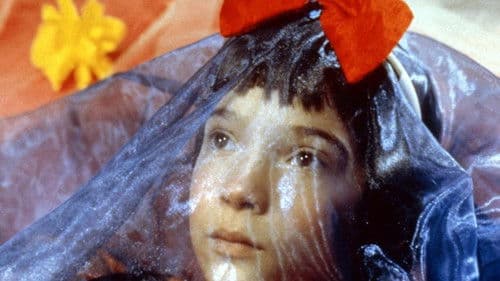 Mein Leben in Rosarot Bild 2