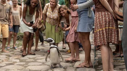 My Penguin Friend Bild 6