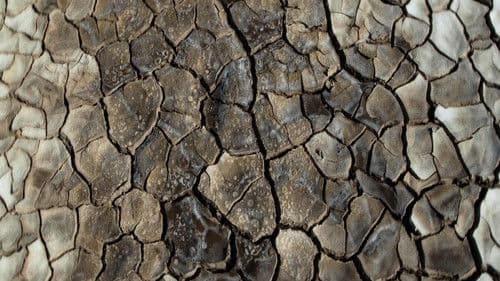 რას ჩურჩულებს ტალახი Bild 1