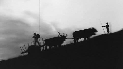 O Canto da Saudade Bild 2