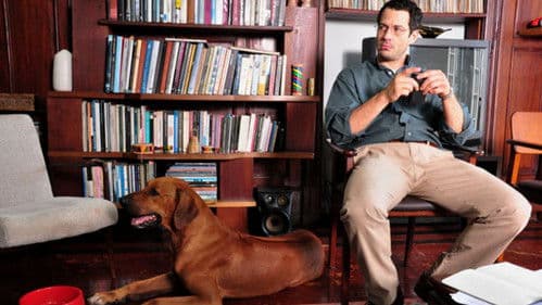 Qualquer Gato Vira-Lata Bild 4