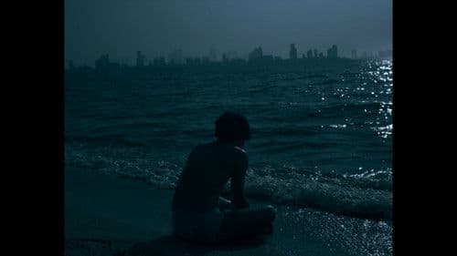 ความกลัวของโลมา Bild 3