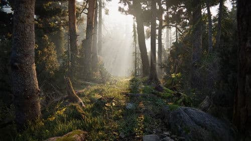 Book of the Dead Bild 1