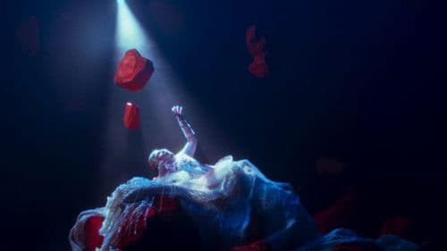 Berthe is Dead But It's Okay Bild 1