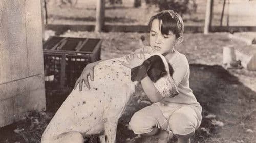 Die Promenadenmischung Bild 1