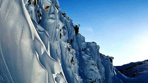 The Art of Flight Bild 3