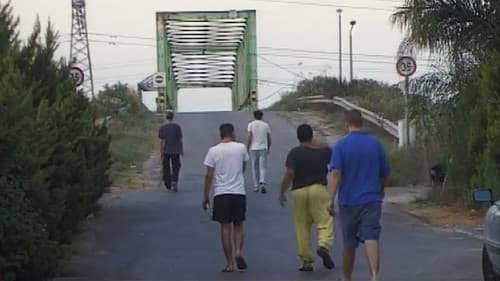 Tomer Ve-Hasrutim Bild 2