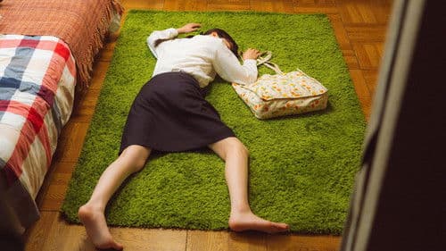 かくかくしかじか Bild 2