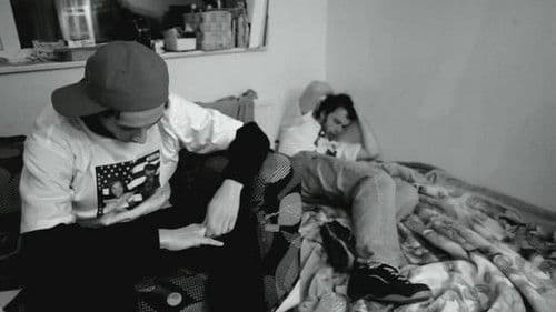 A Stable For Disabled Horses Bild 8