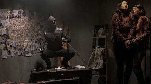 The Collected Bild 6