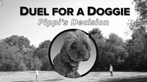 Boston Johnny Bild 1