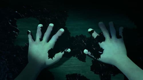 Fais de beaux rêves Bild 2