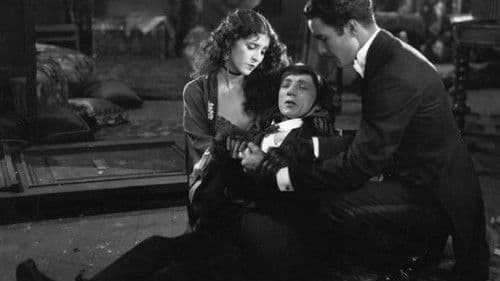 The Monkey Talks Bild 2