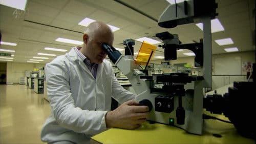 The Great Sperm Race Bild 6