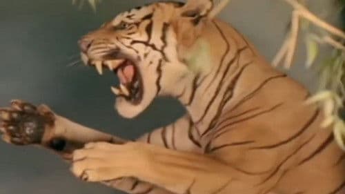 El tiempo y la memoria Bild 2