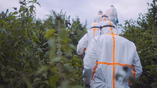 Die Virus-Jäger Bild 6