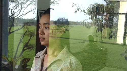 Syndromes and a Century - Licht des Jahrhunderts Bild 1