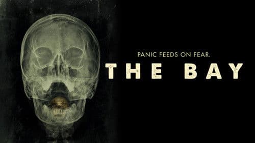 The Bay - Nach Angst kommt Panik Bild 3