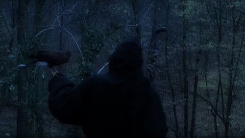 Чудотворац тумански Bild 1