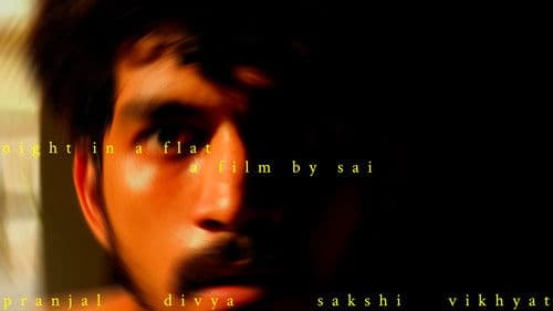 NIGHT IN A FLAT Bild 1