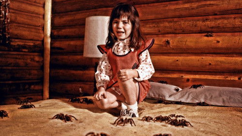 Mörderspinnen Bild 5