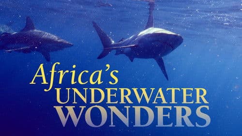 Africa's Underwater Wonders Bild 1