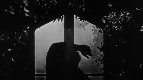 I Bury the Living Bild 6