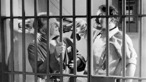 Man on the Flying Trapeze Bild 1