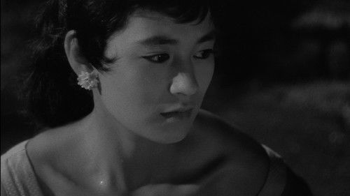 狂った果実 Bild 1