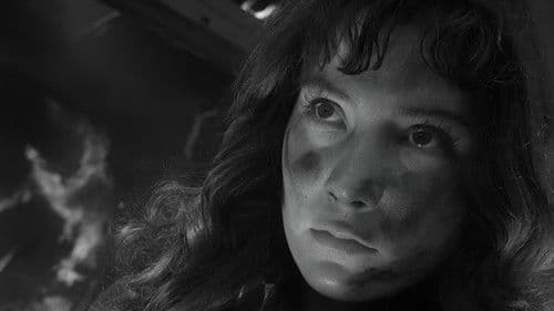 Wenn die Kraniche ziehen Bild 8