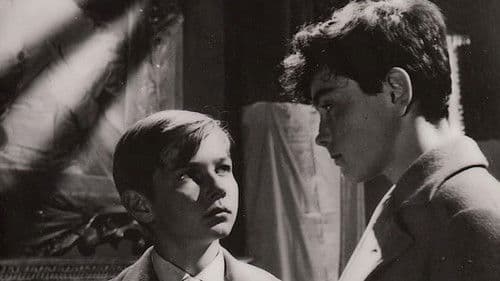 Freunde fürs Leben Bild 2