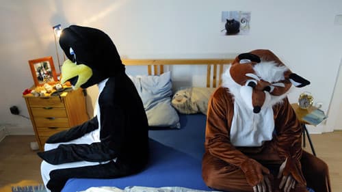 Fuchs & Pinguin Bild 1