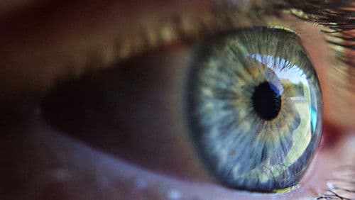 An Eye on You: Citizens Under Surveillance Bild 1