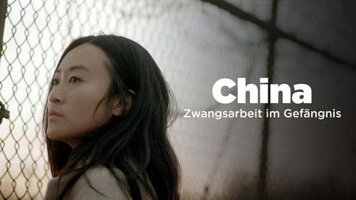 Zwangsarbeit - SOS aus China Bild 2