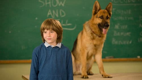 Tierisch Cool - Ein Hund in New York Bild 3