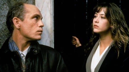 Jenseits der Wolken Bild 1