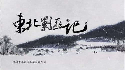 东北剿匪记 Bild 2