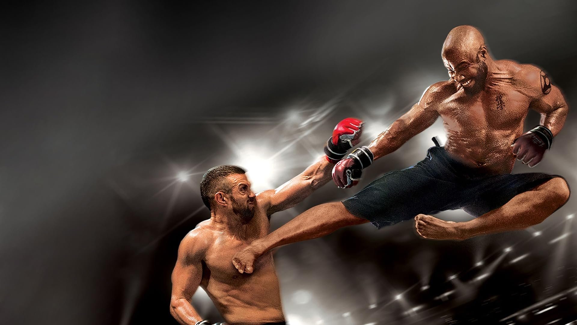 The Fighters 3: No Surrender