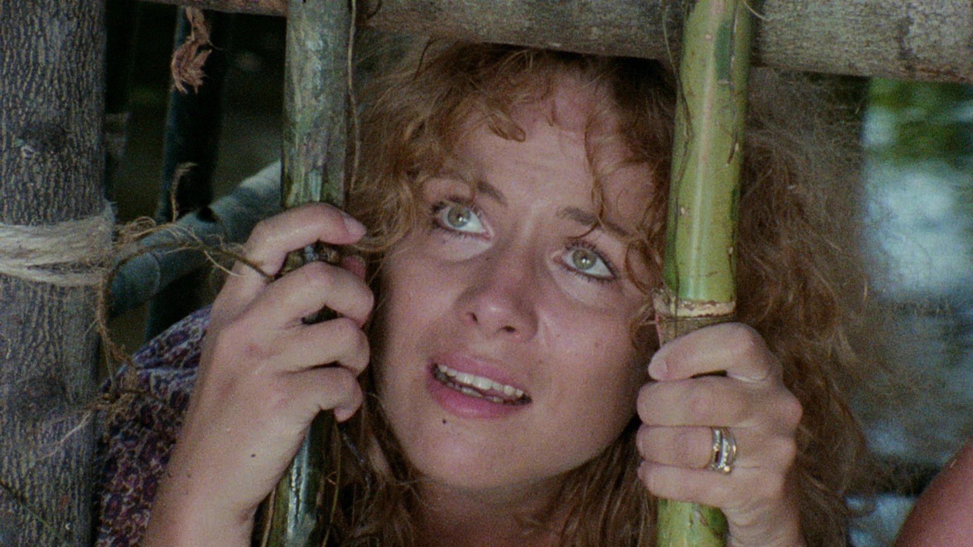 Die Rache der Kannibalen