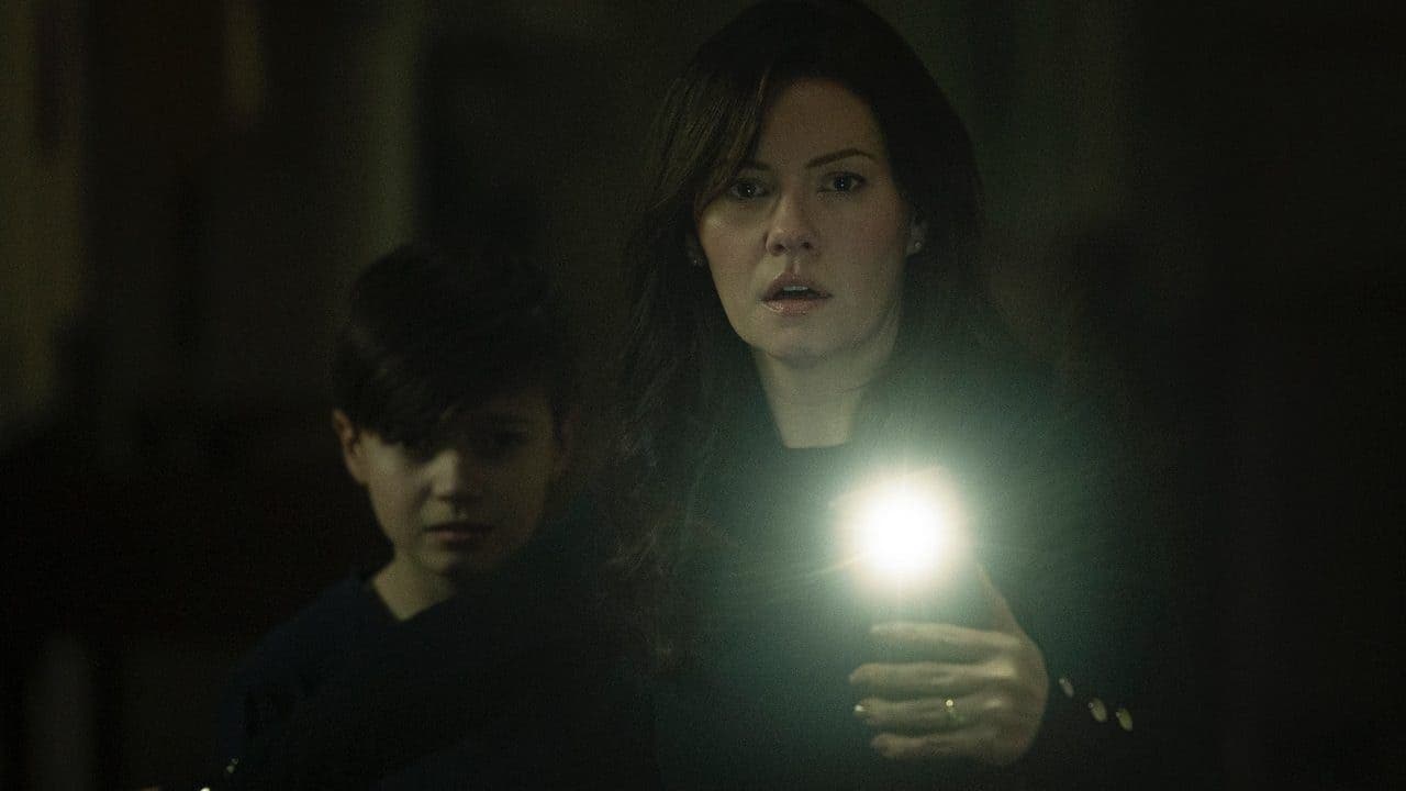 The Cellar - Verlorene Seelen