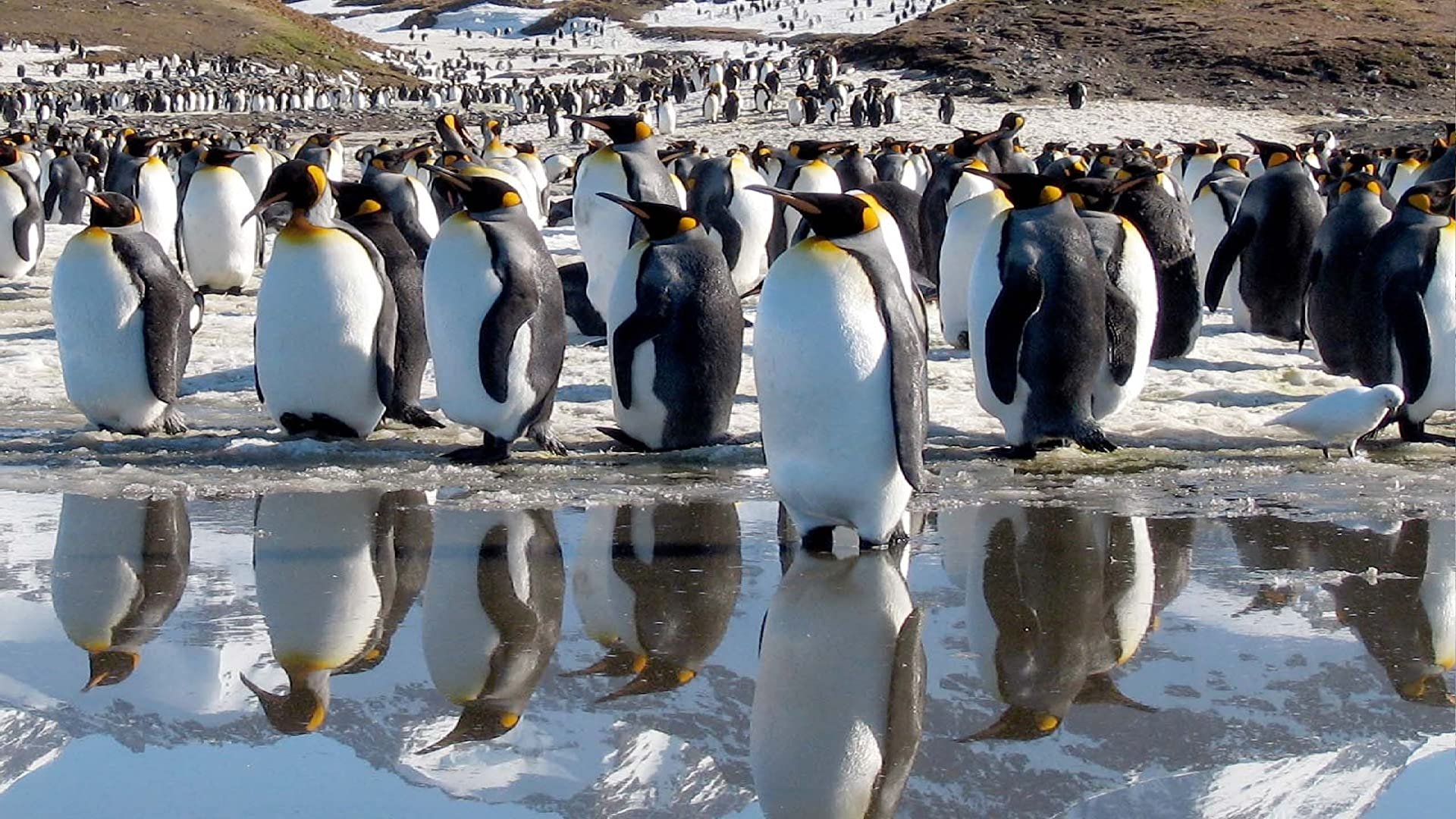 Life - Das Wunder Leben