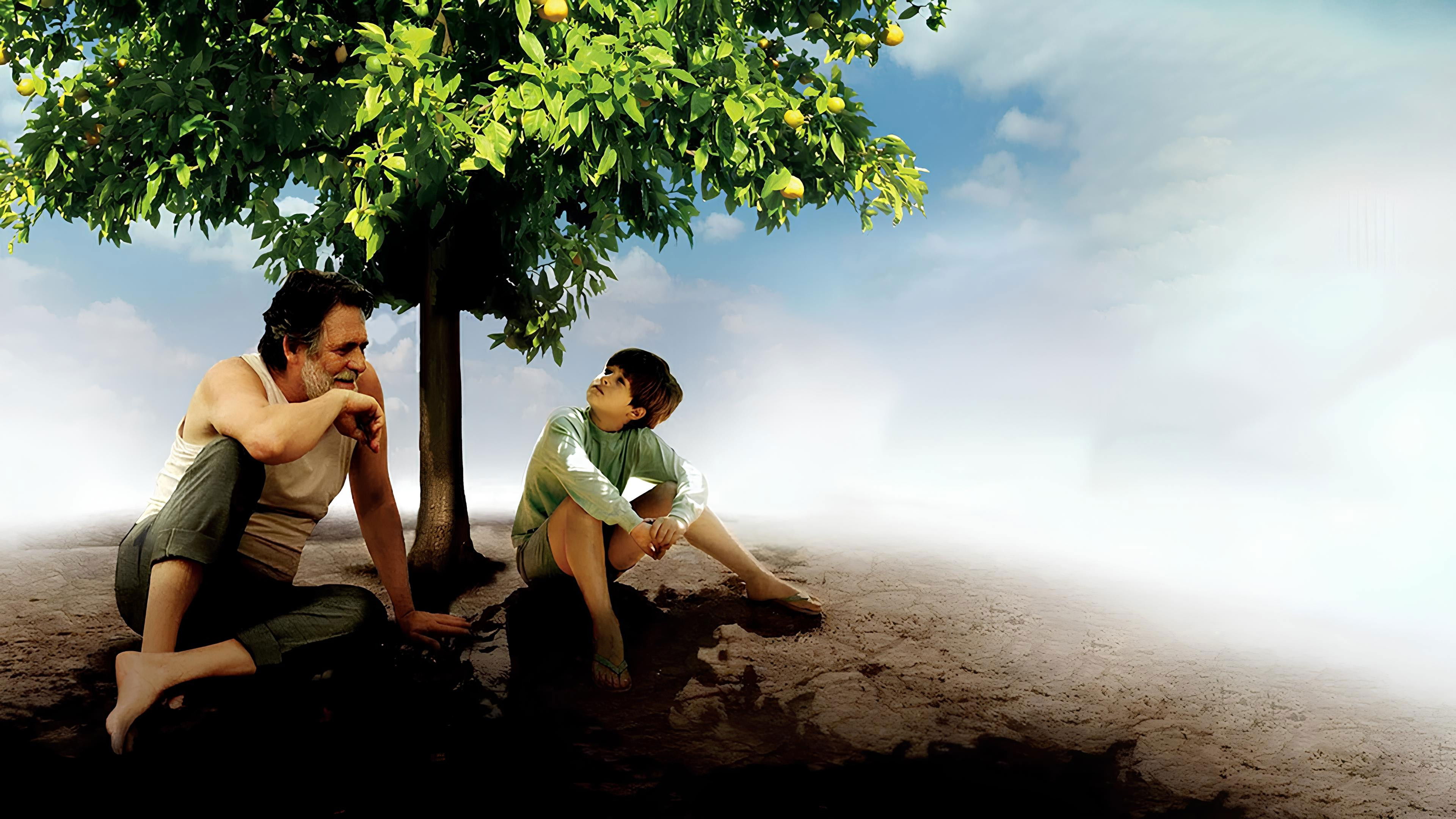 Mein kleiner Orangenbaum