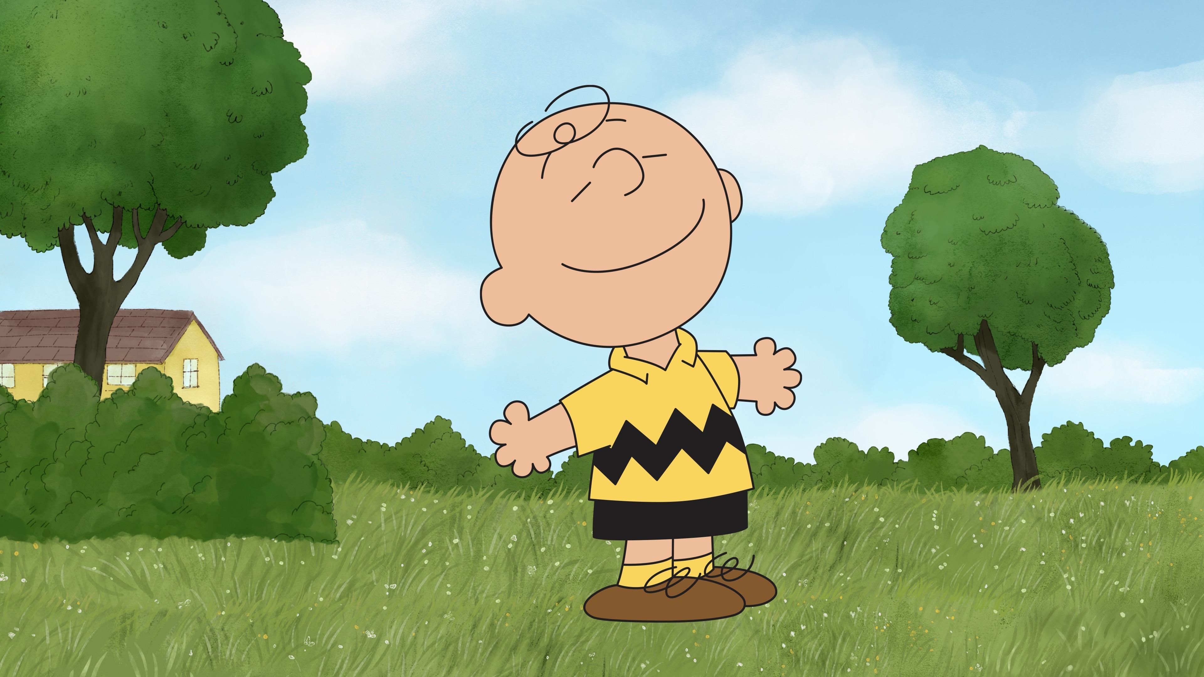 Die Peanuts - Du bist super, Charlie Brown!