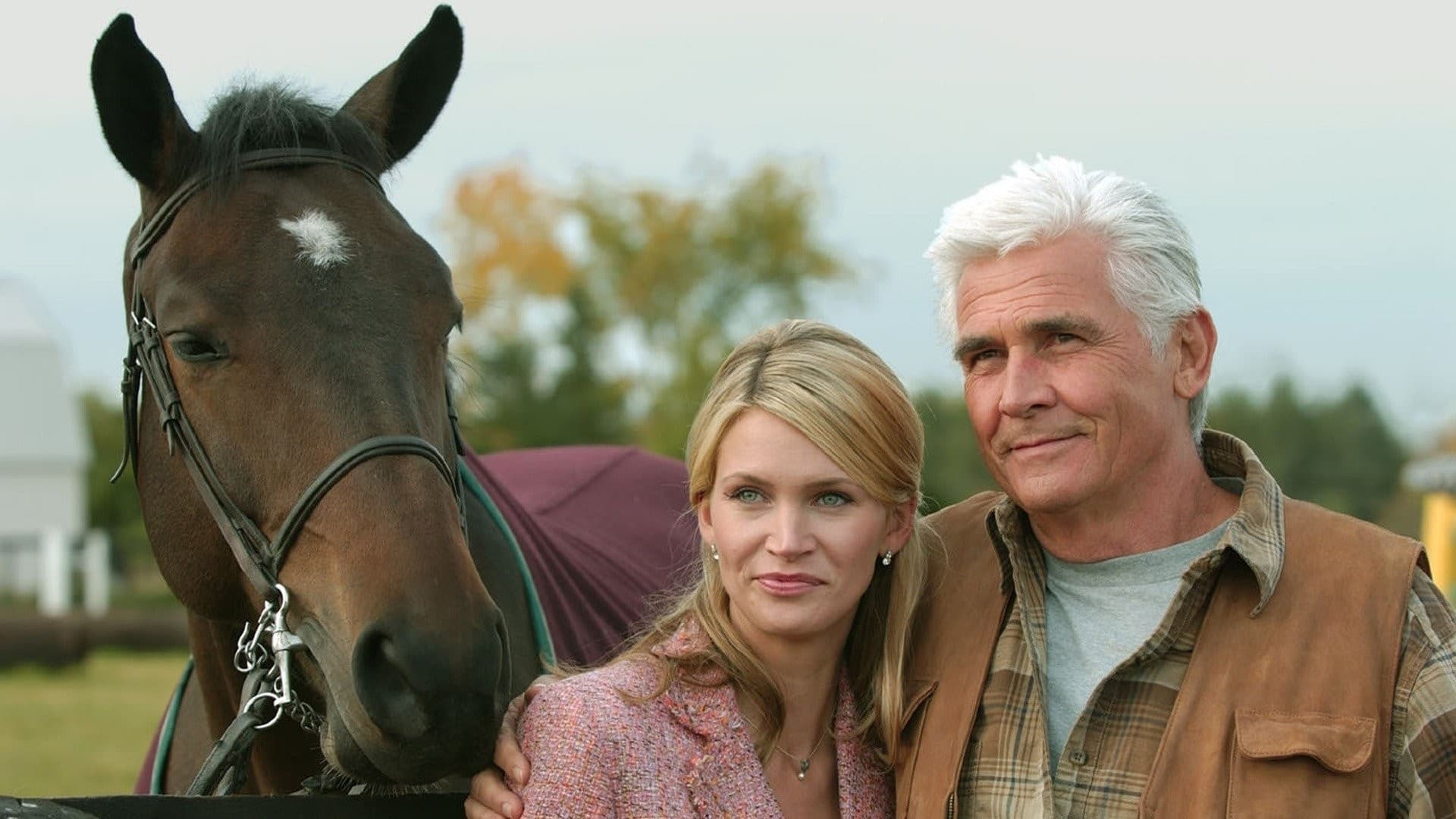 Im Bann der schwarzen Witwe