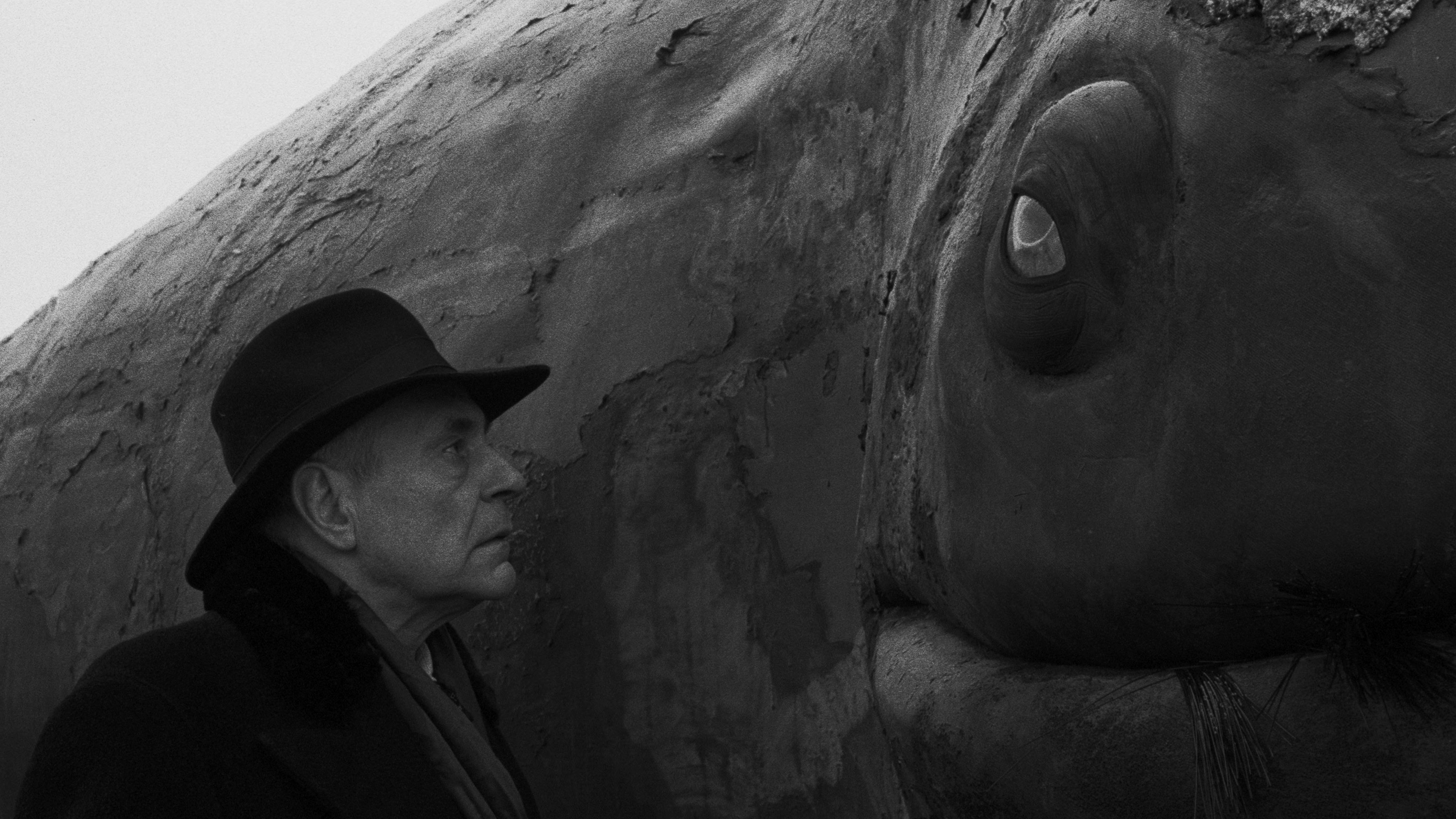 Die Werckmeisterschen Harmonien