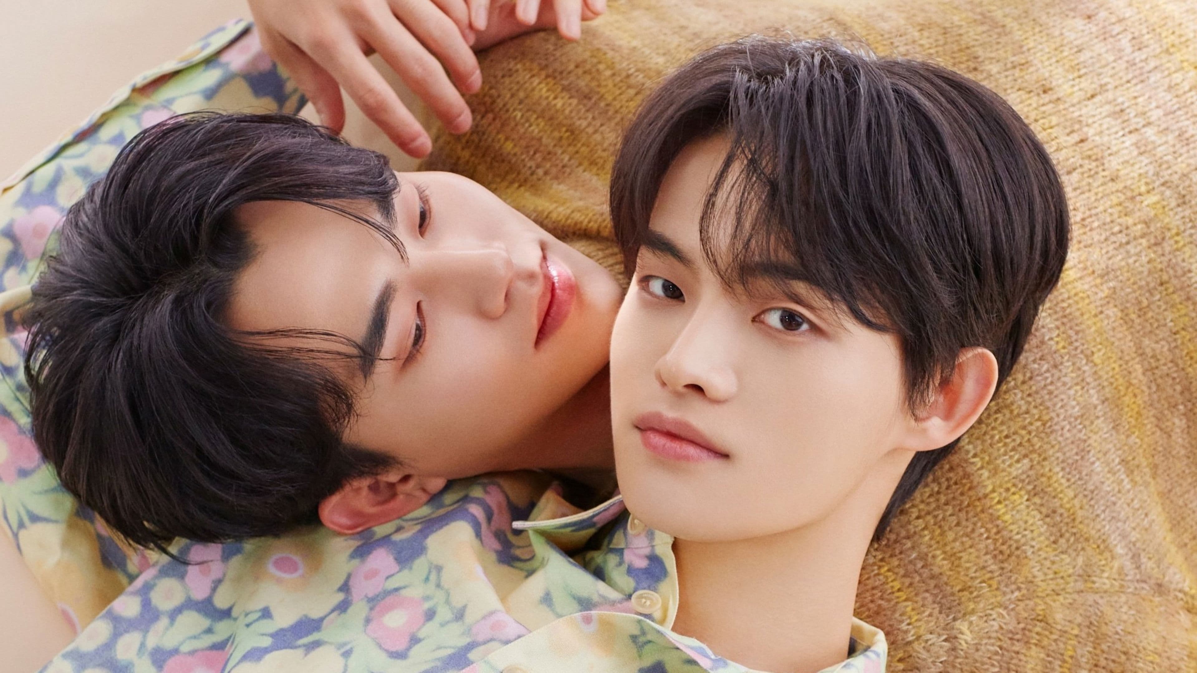 ์์
์ค์
๋๋ค